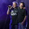 rockfest-1-75