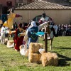 les-templiers-1-53